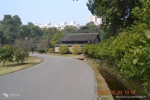 中共湘区委员会